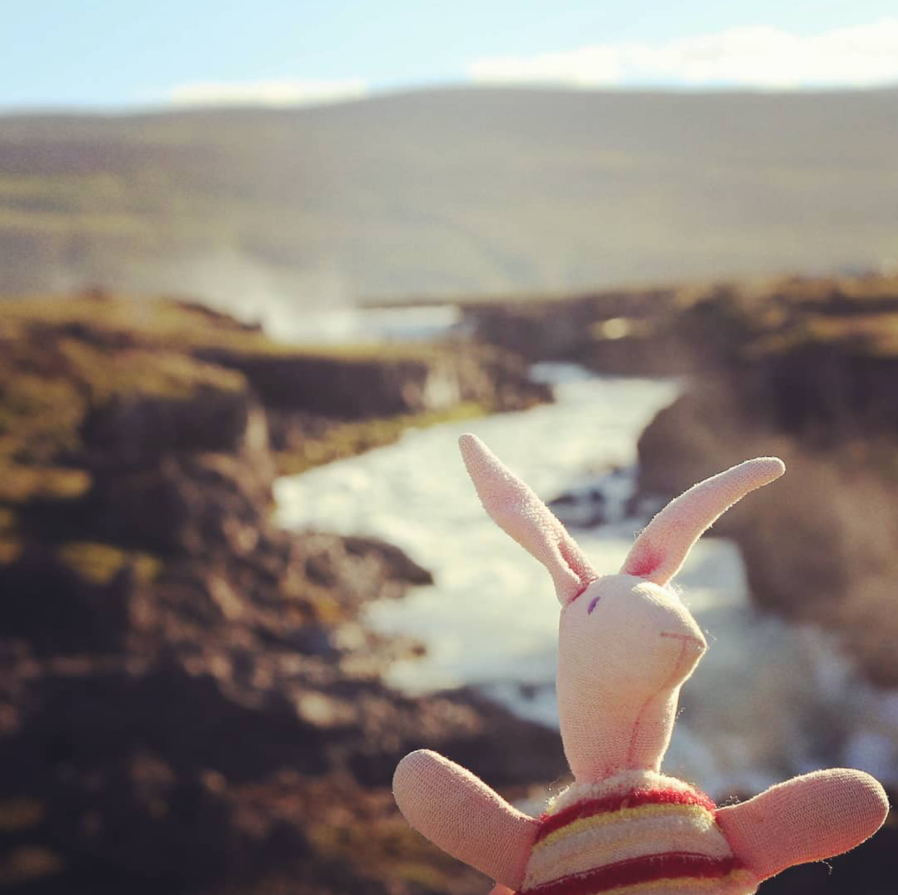 Gikond nad wodospadem Goðafossw na Islandii